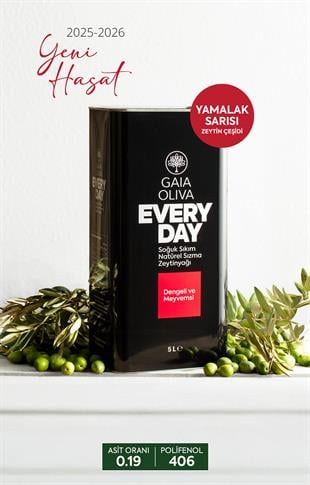 Everyday Yamalak Sarısı 5 lt Natürel Sızma Zeytinyağı (Yeni Hasat)