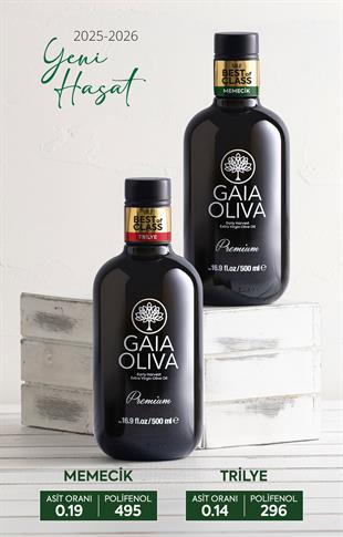 Kategorinin En İyileri Seti