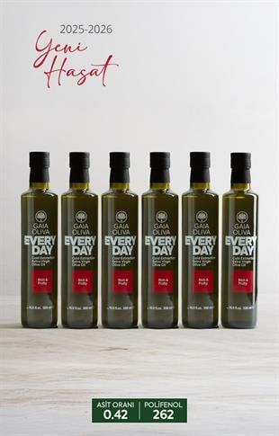 6lı Everyday 500 ml Natürel Sızma Zeytinyağı (Yeni Hasat)