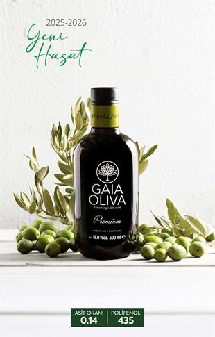 Premium Yamalak Sarısı 500 ml Erken Hasat Natürel Sızma Zeytinyağı (Yeni Hasat)