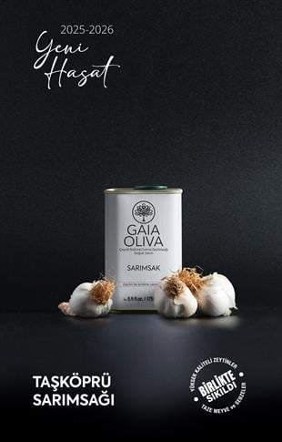 Sarımsak Çeşnili 175 ml Natürel Sızma Zeytinyağı (Yeni Hasat)