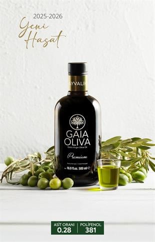 Yüksek Polifenollü Premium Ayvalık 500 ml Erken Hasat Natürel Sızma Zeytinyağı (Yeni Hasat)