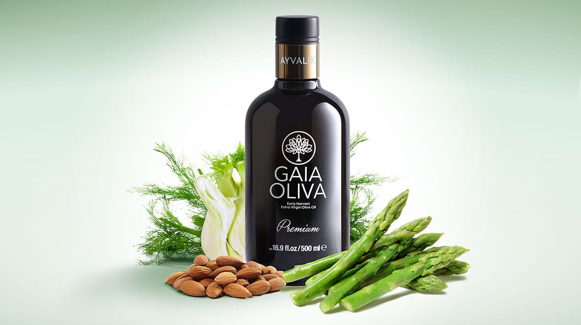 Gaia Oliva Blog