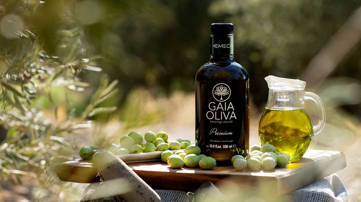 Gaia Oliva Blog