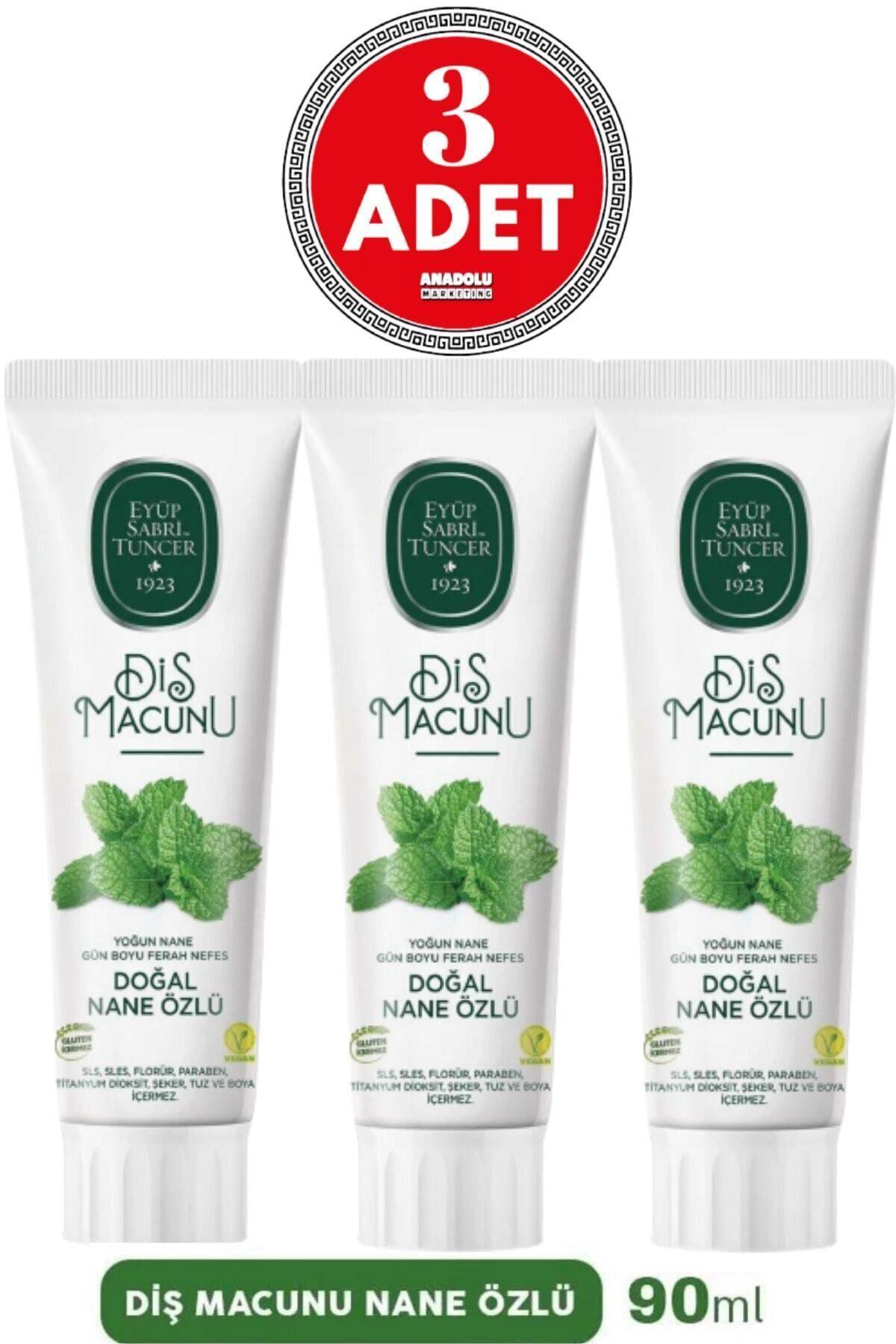 Doğal Diş Macunu 90 ml Nane Özlü X 3 Adet