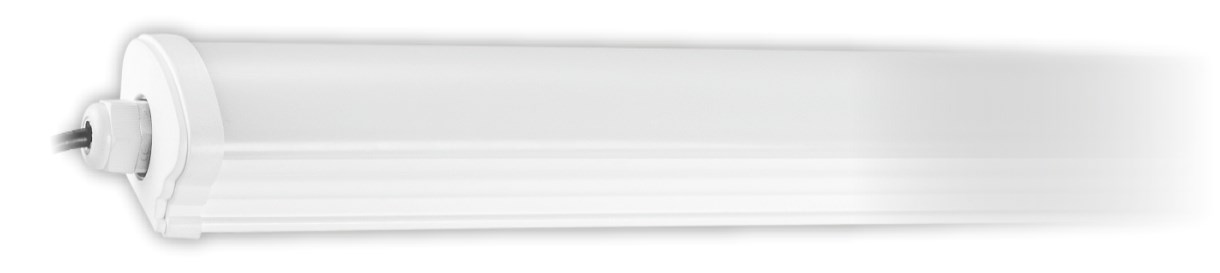 10 ADET CATA CT 2480 Acil Kitli 40W 120CM Led Etanj Aydınlatma 6400K Beyaz Işık10 Adet CATA CT 2480 Acil Kitli 40W 120CM LED Etanj 6400K | Uygun Fiyat | cimenelektrik.comLed Bant ArmatürlerCATACT-2480-10-26995