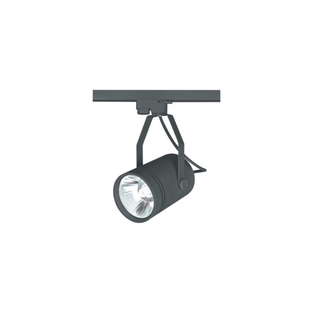 CT 5312 G Cata 20 W Kastra Cob Led Ray Tipi Spot GünışığıRay Spotlar ve RaylarCATACT-5312G-12554