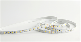 5 Metre CATA CT 4539 İç Mekan 24V 240 Ledli Şerit Led 3200K Gün IşığıŞerit ve Hortum LedlerCATACT-4539G-5-31374