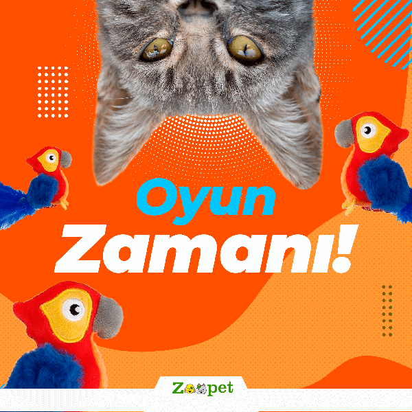 Oyun Zamanı