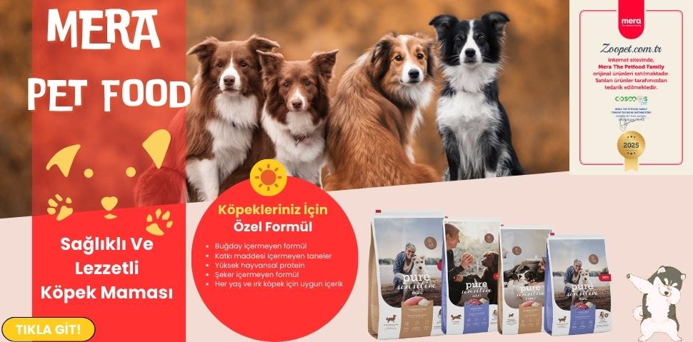 mera köpek