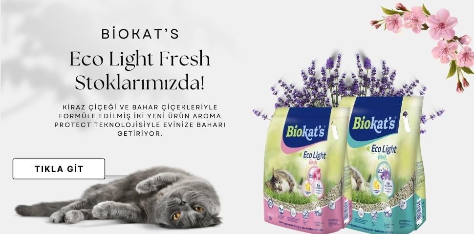 bio cat kum 