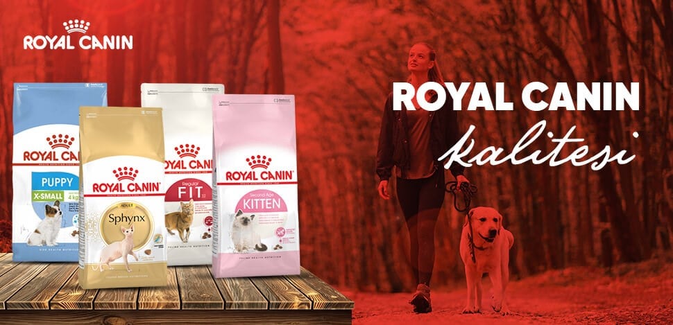 royal canin