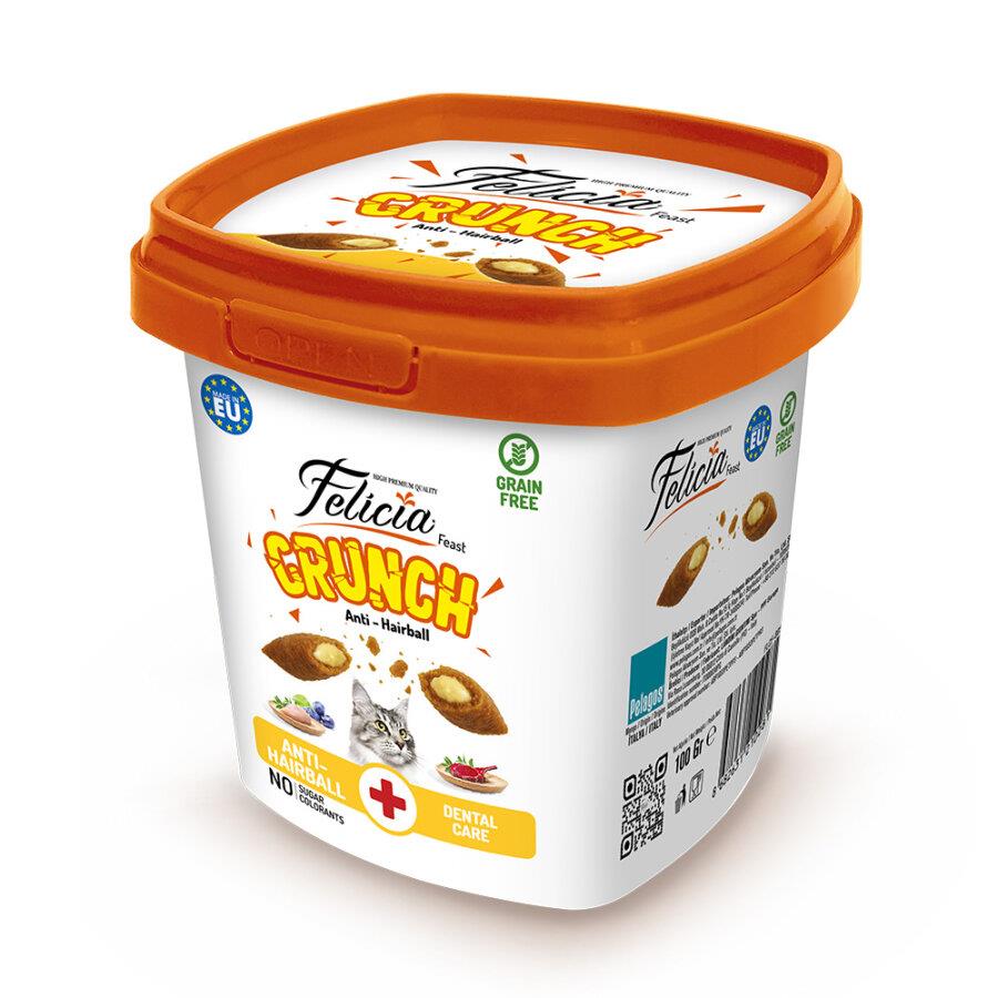 Felicia Anti Hairball Tavuklu Ve Yaban Mersinli Crunch Kedi Ödülü 100 g