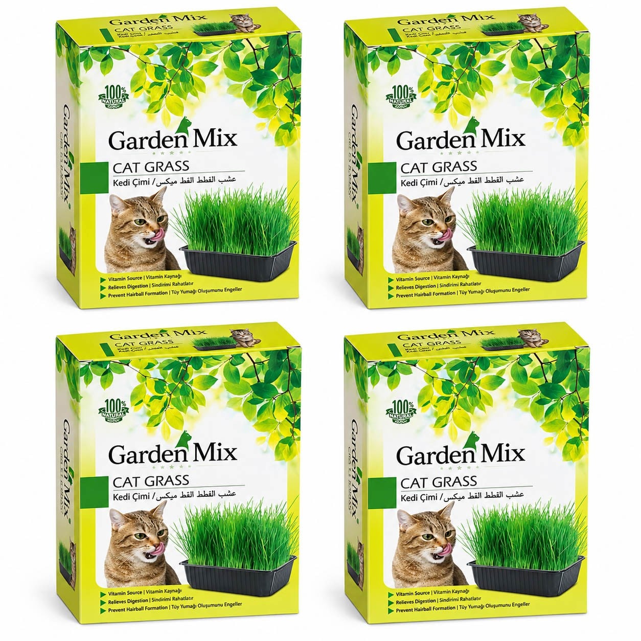 Garden Mix Kedi Çimi (4 Adet)