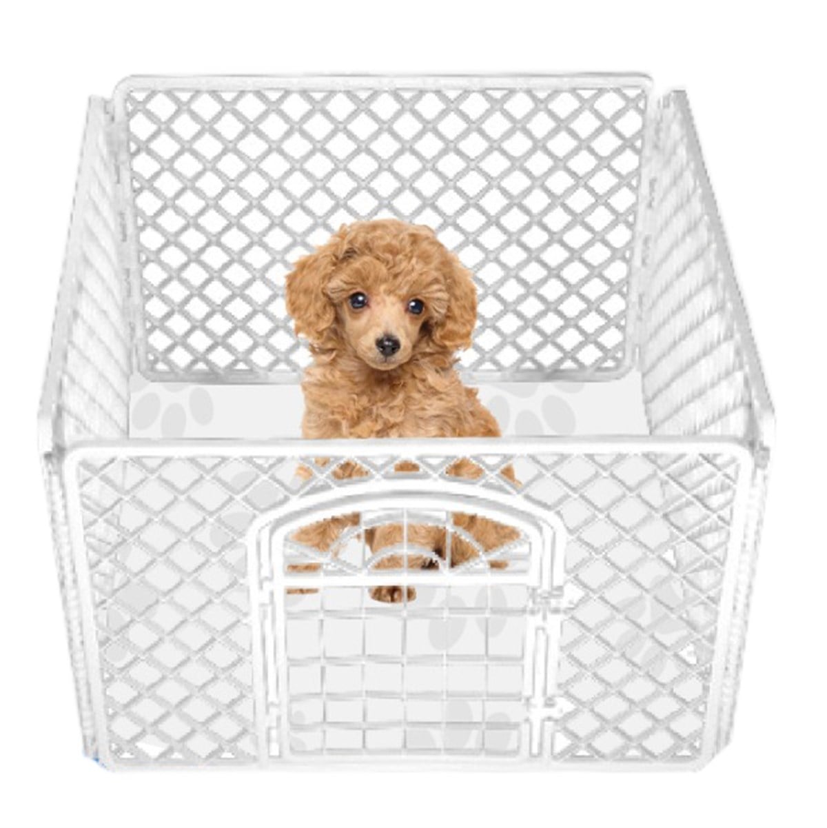 Keypet Accesories Plastik Köpek Çiti 90 x 60 cm (4 Panel)