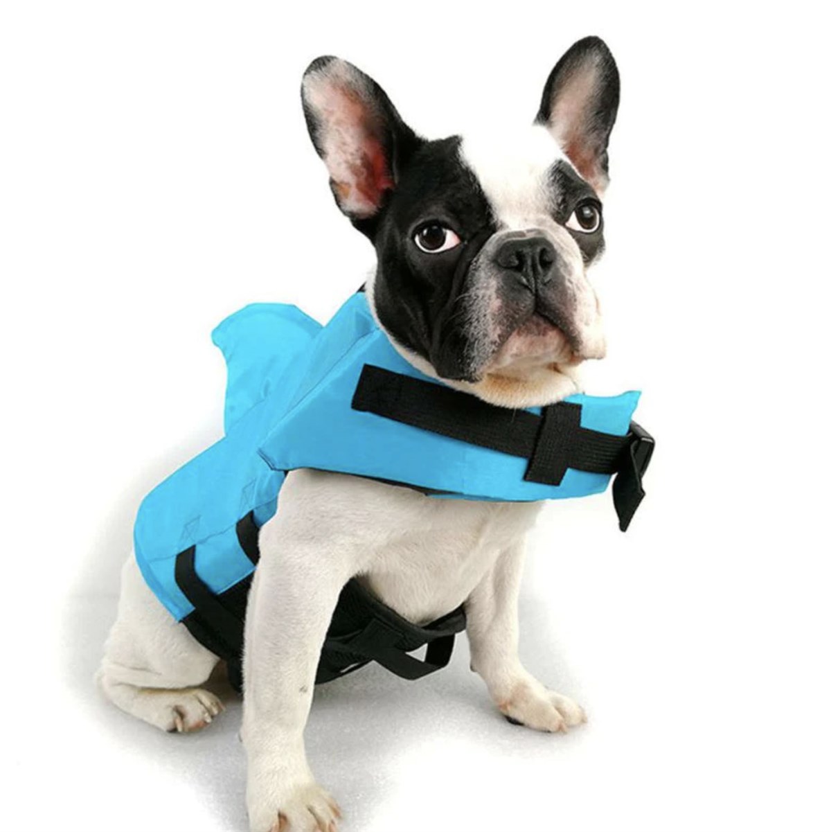 Lionpet Shark Köpek Can Yeleği  M Mavi