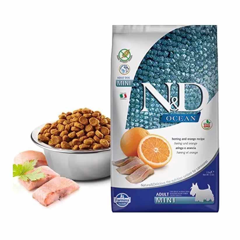 N&D Ocean Ringa Balıklı ve Portakallı Tahılsız Küçük Irk Köpek Maması 2.5 kg