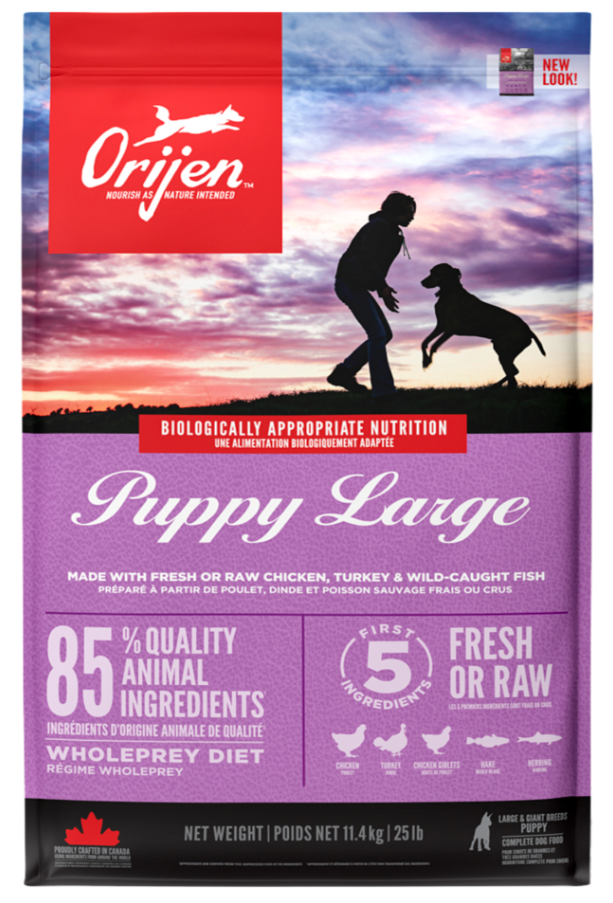 Orijen Puppy Large Breed Büyük Irk Yavru Köpek Maması 11,4 Kg