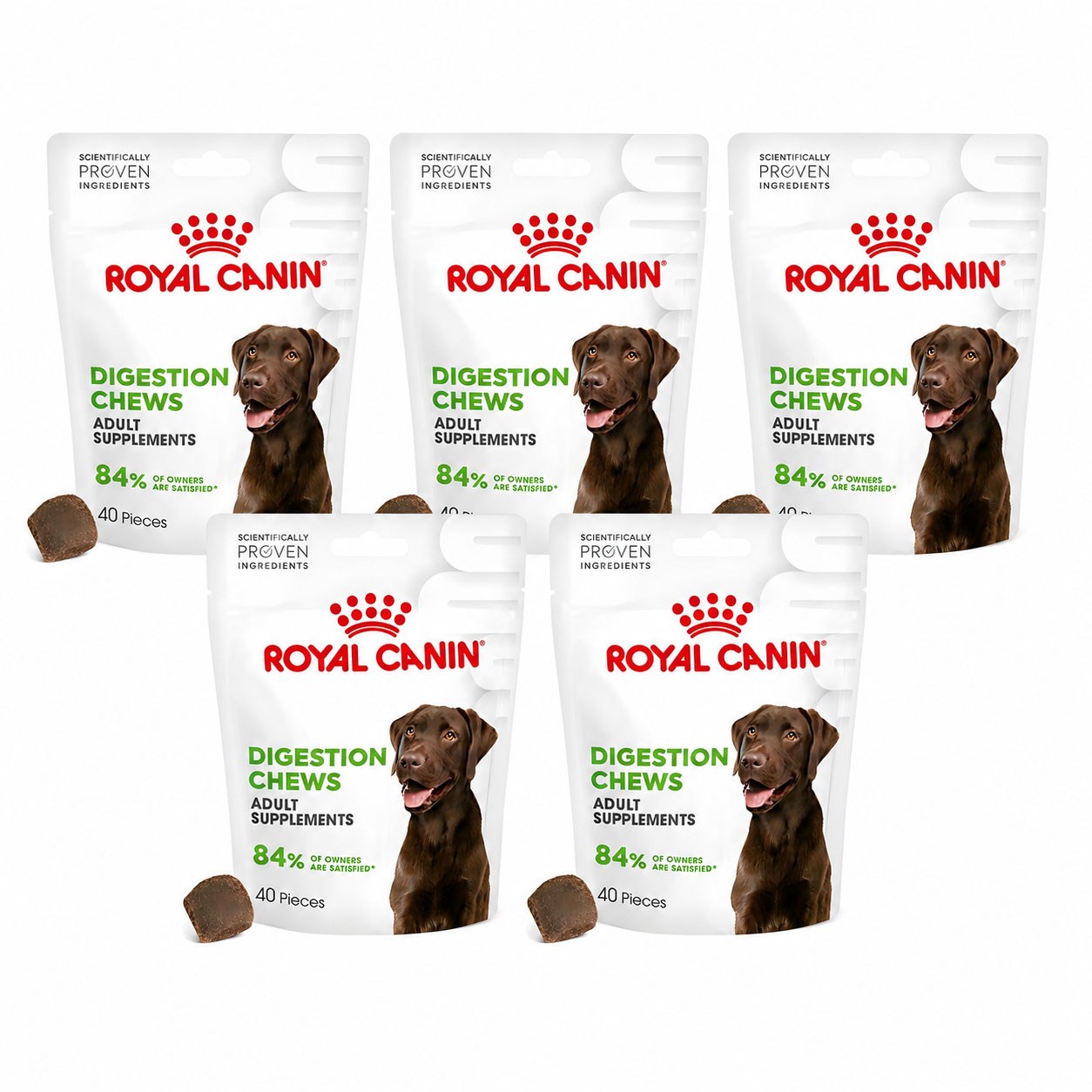 Royal Canin Digestion Sindirim Sistemi Destekleyen Yetişkin Köpek Ödülü 160 gr x 5 Adet