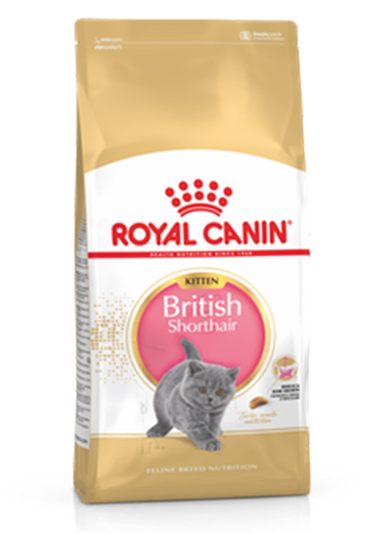 Royal Canin Kitten British Shorthair Yavru Kedi Maması 2 Kg