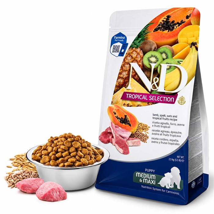 N&D Tropical Selection Kuzu Etli ve Tropikal Meyveli Medium & Maxi Yavru Köpek Maması 10 kg