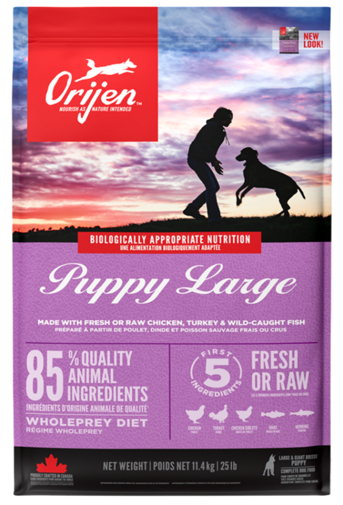 Orijen Puppy Large Breed Büyük Irk Yavru Köpek Maması 11,4 Kg