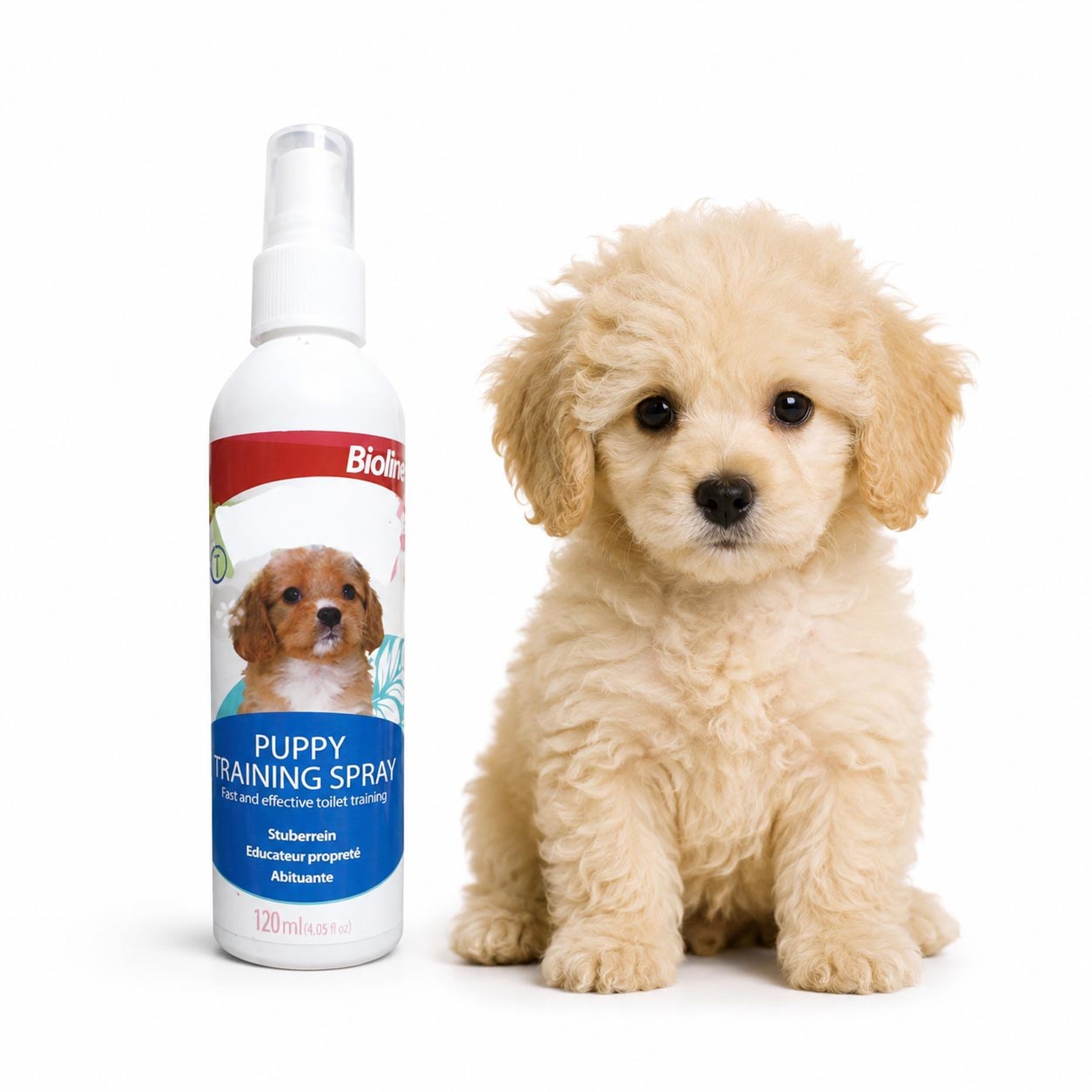 Bioline Yavru Köpek Çiş Eğitim Spreyi 120 ml