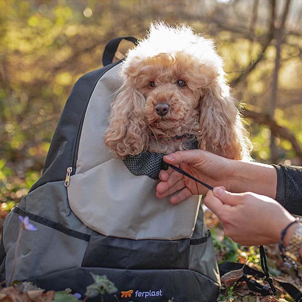 Ferplast Kangoo Kedi Ve Köpek Taşıma Çantası L