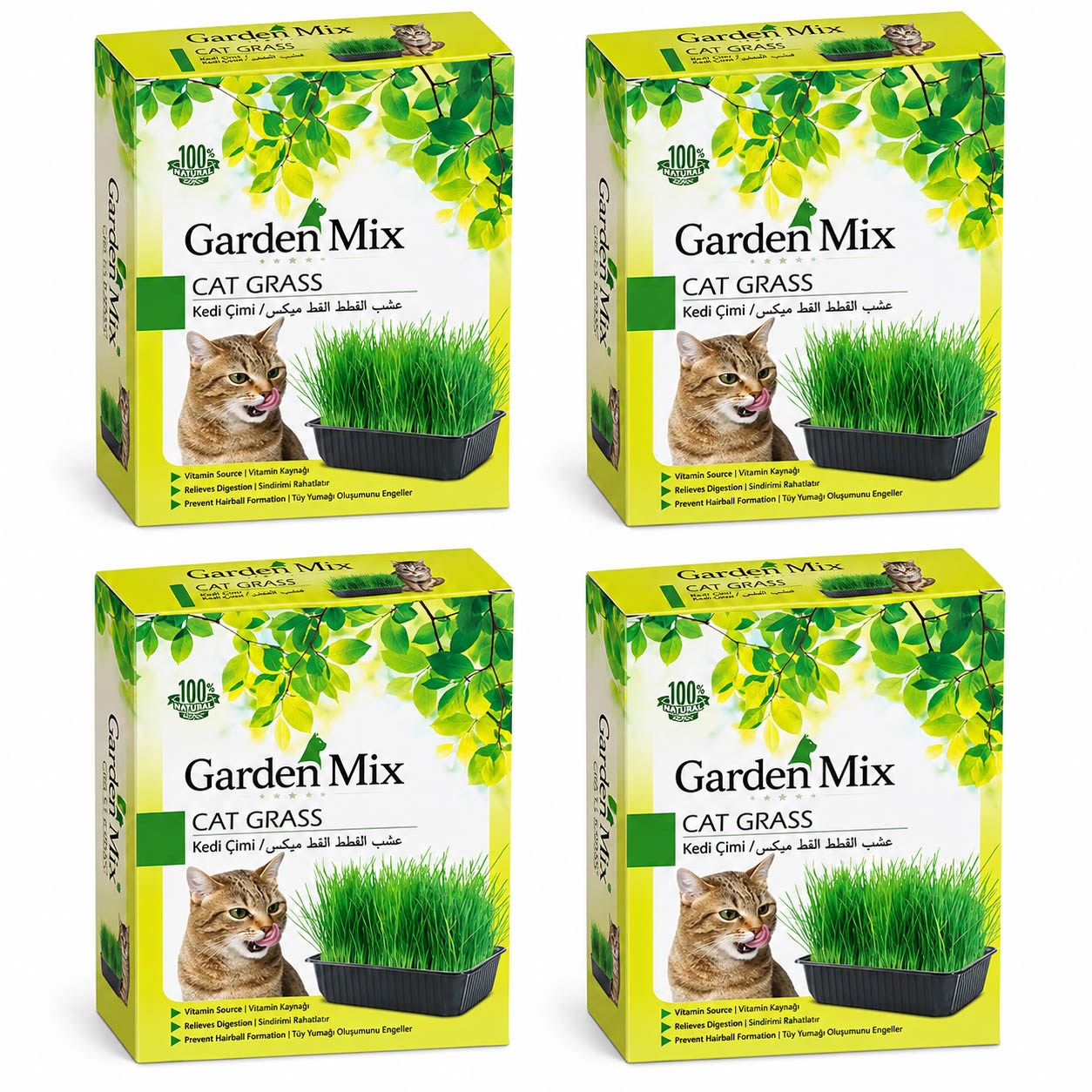 Garden Mix Kedi Çimi (4 Adet)