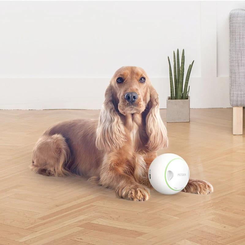 Gigwi Ödül Hazneli Top İnteraktif Köpek Oyuncağı 