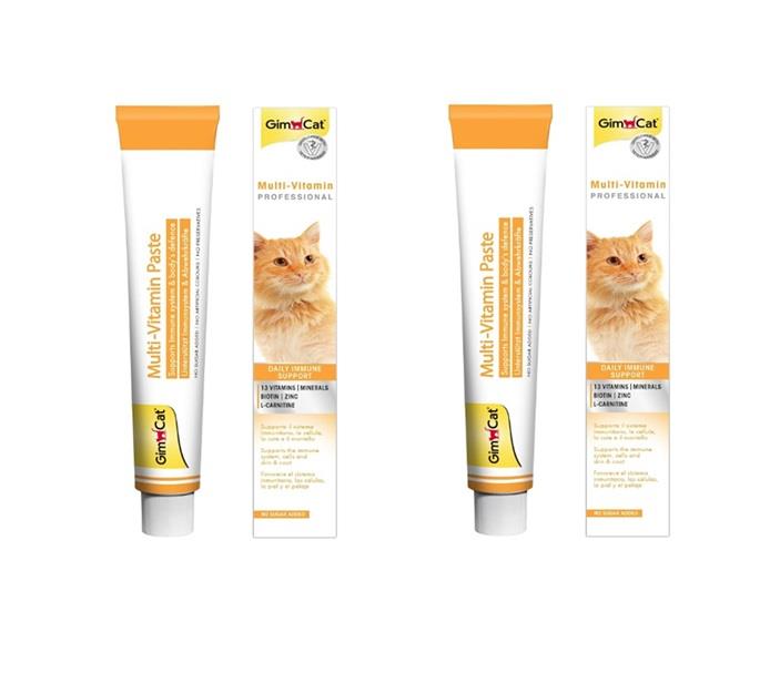 Gimcat Multi Vitamin Paste 12 Vitaminli Kedi Macunu 2 x 100 Gr 