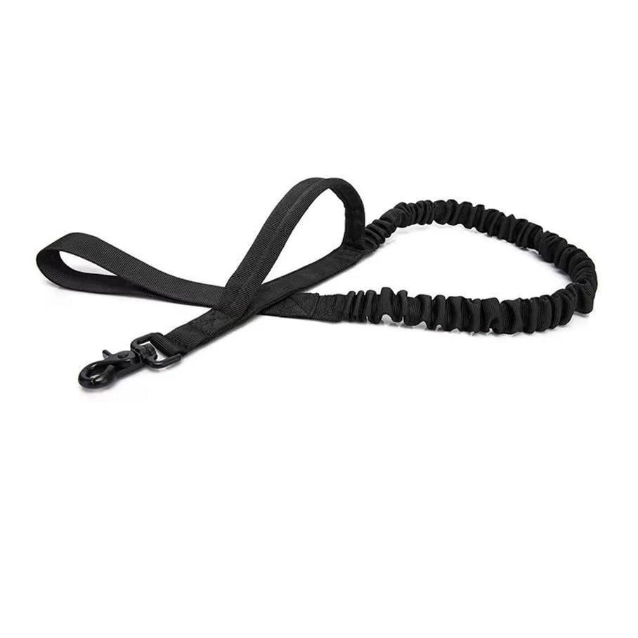Lion Pet Elastik Köpek Gezdirme Tasması 1.45 cm (Siyah)