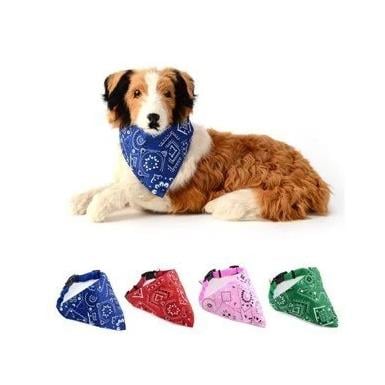 Lionpet Fularlı Köpek Tasması 25 - 48 Mor