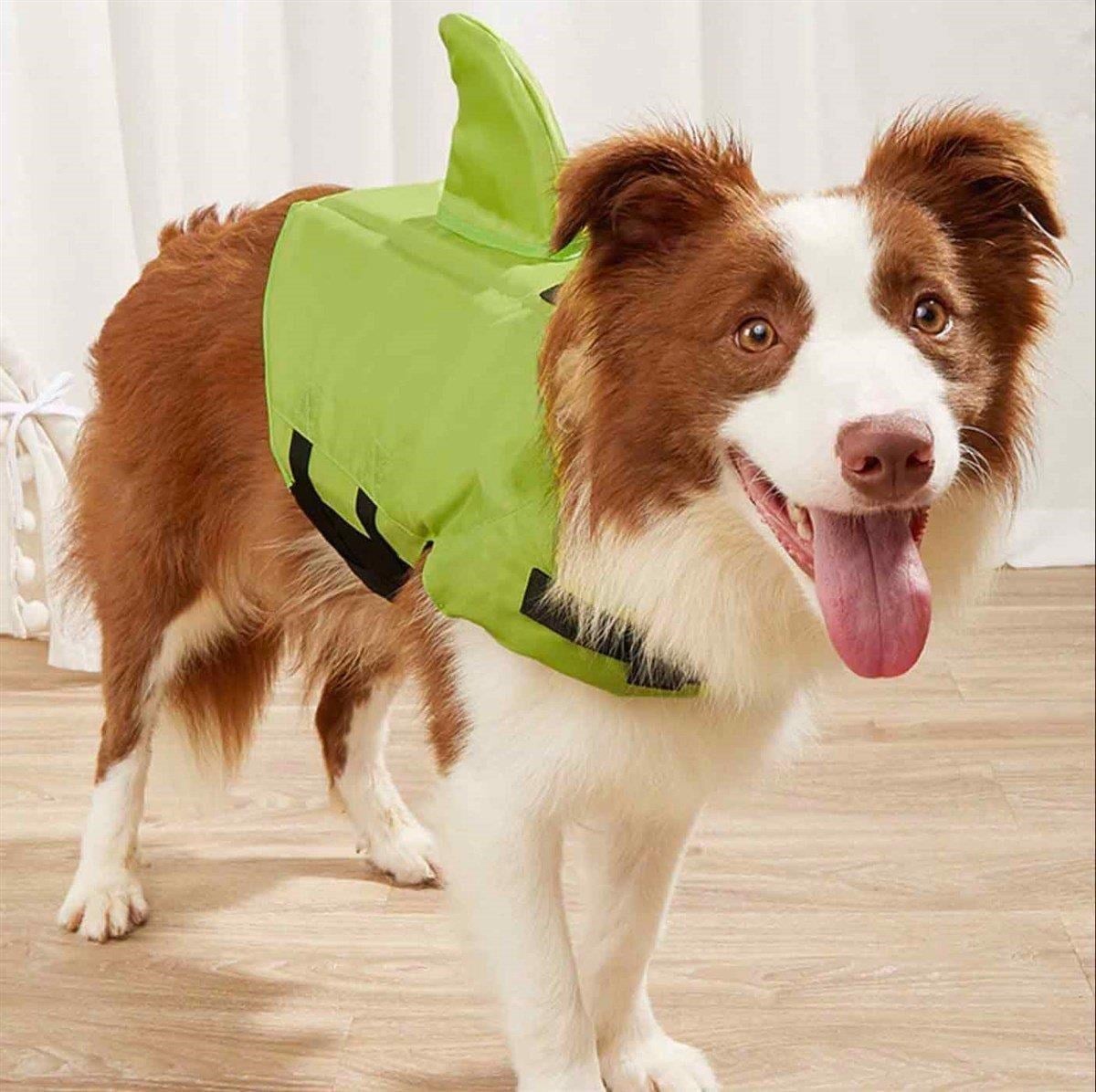 Lionpet Shark Köpek Can Yeleği L Yeşil