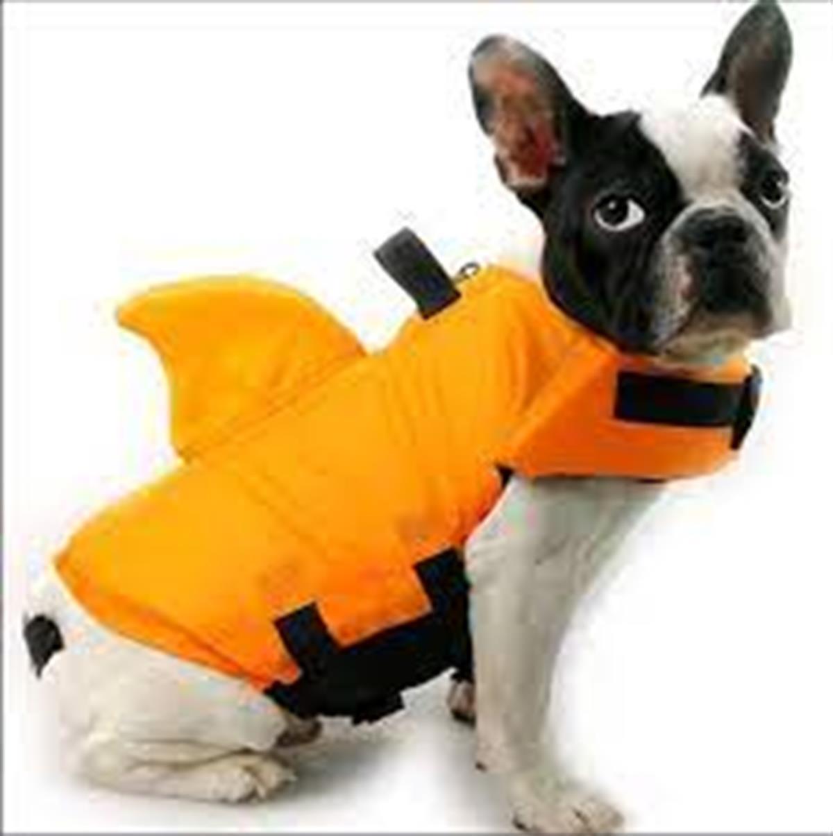 Lionpet Shark Köpek Can Yeleği XL Turuncu