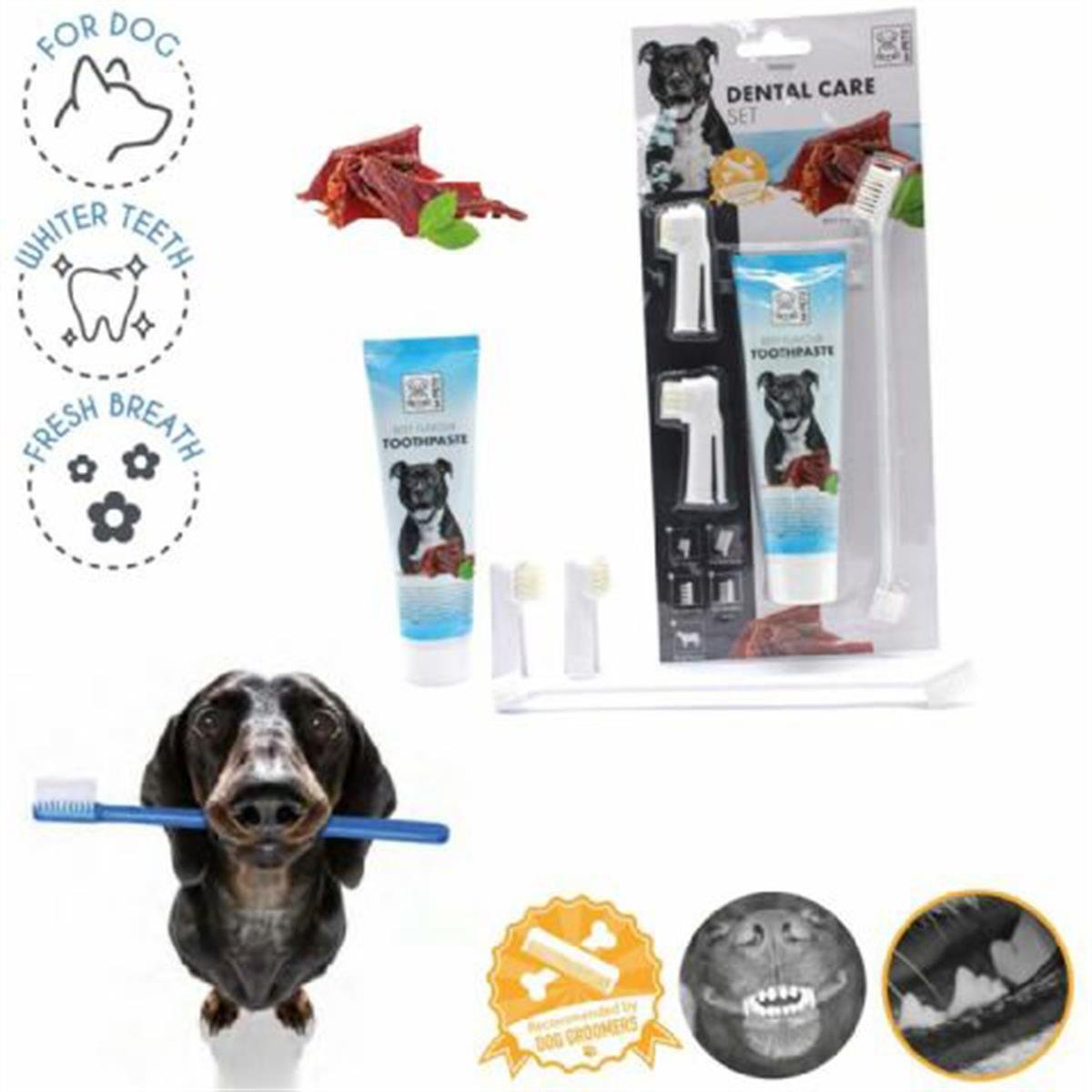 M-Pets Biftek Aromalı Köpek Diş Macunu ve Diş Fırçası Seti Beyaz (4'lü Set)