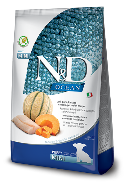 N&D Ocean Morina Balıklı Bal Kabaklı Karidesli ve Kavunlu Tahılsız Yavru Kedi Maması 2,5 kg