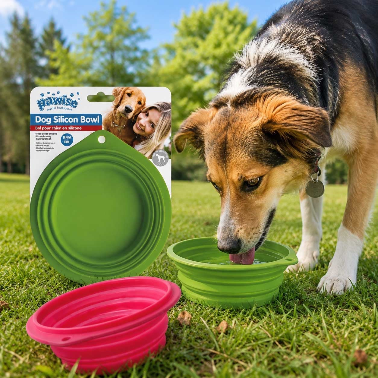 Pawise Katlanabilir Portatif Kedi Ve Köpek Mama Kabı 1000 Ml (Karışık Renk)