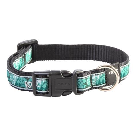 Rogz Fancy Mint Köpek Boyun Tasması (XL) Turkuaz 43 - 70 cm