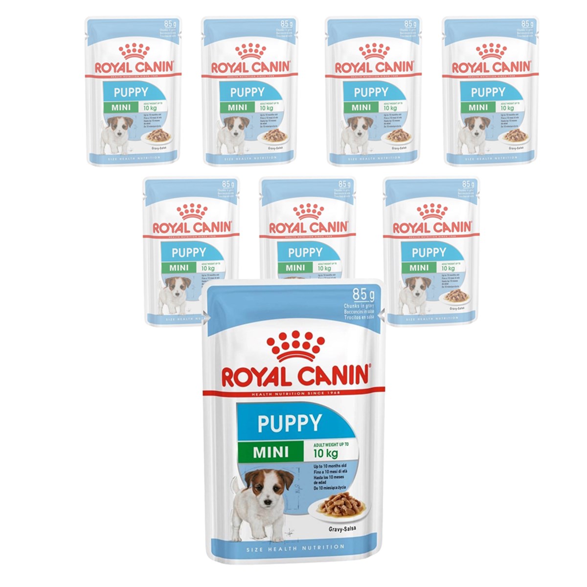 Royal Canin Mini Puppy Soslu Köpek Konservesi 85 gr (12 Adet)