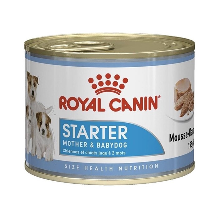 royal-canin-starter-mousse-