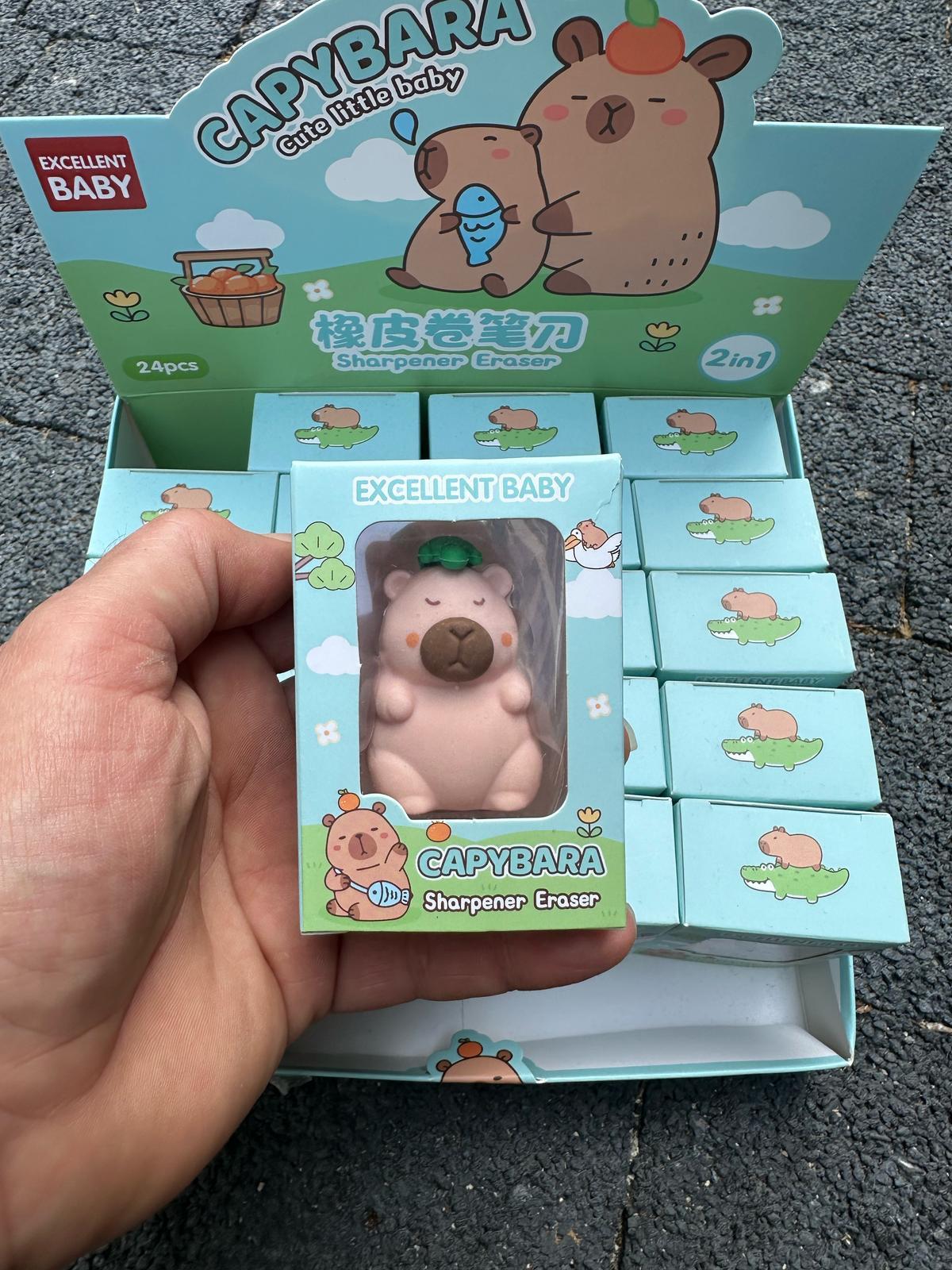 Cappy Bara Kalemtıraşlı Silgi