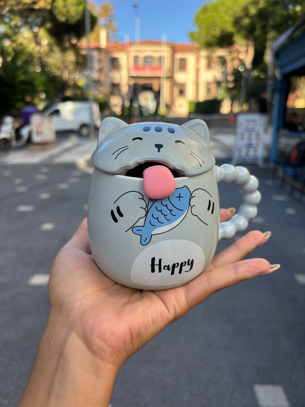 Gri Kedi 3D Mug Kupa