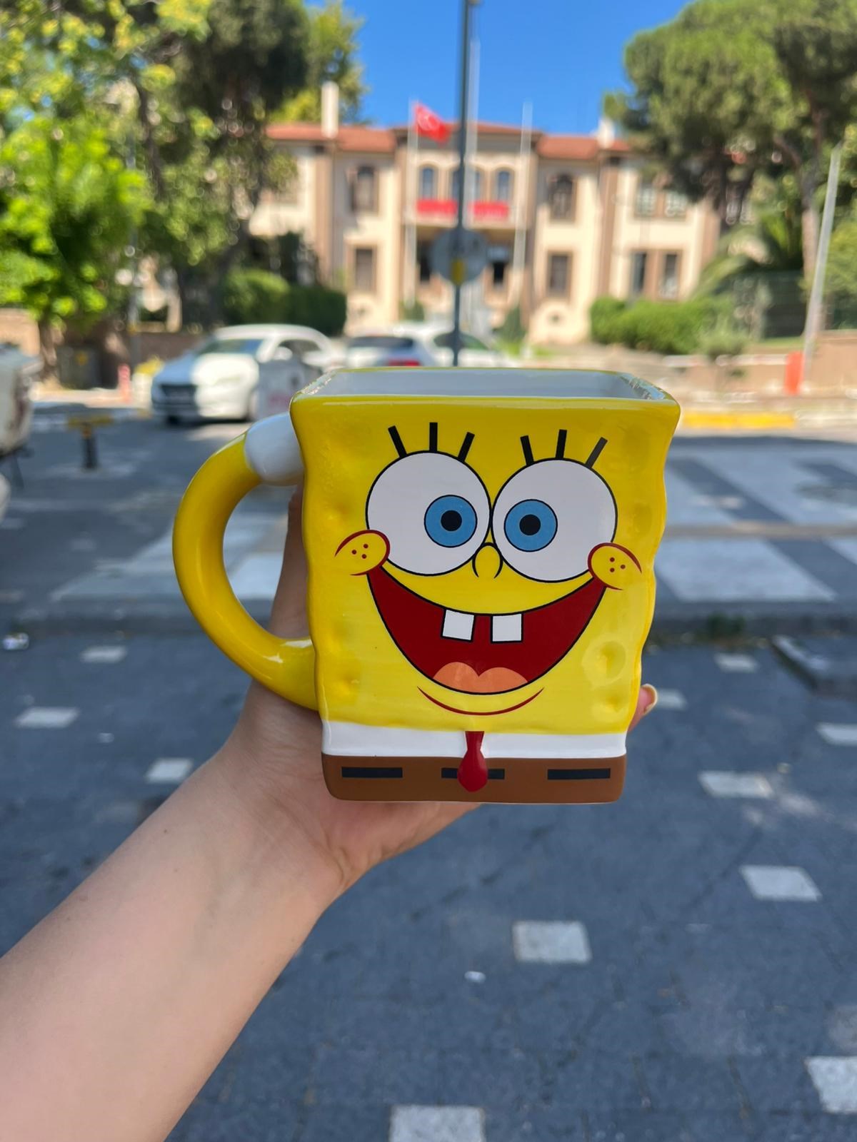 Sünger Bob Sponge Bop Kupa