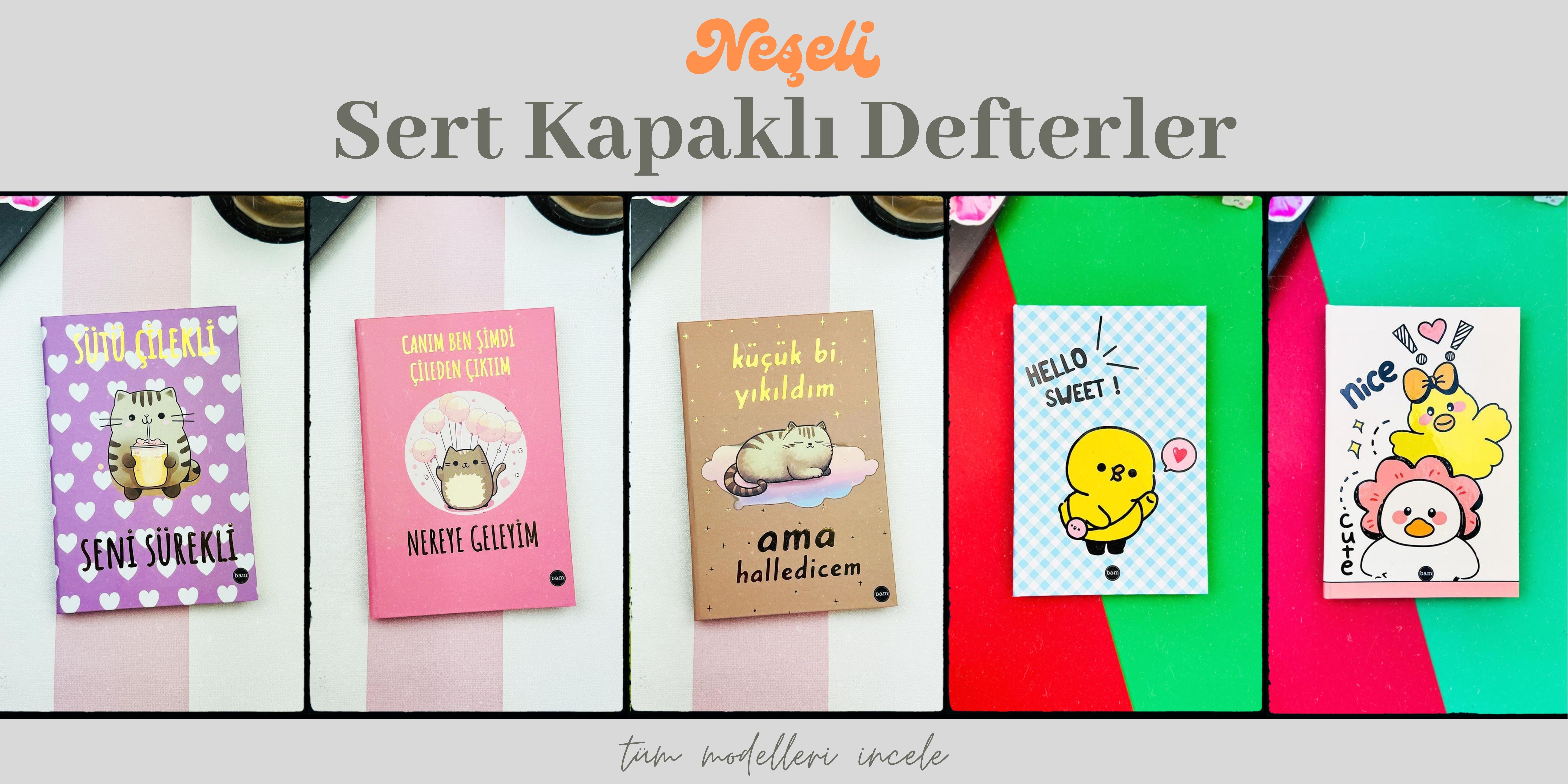 Sert Kapaklı Şirin Defterler