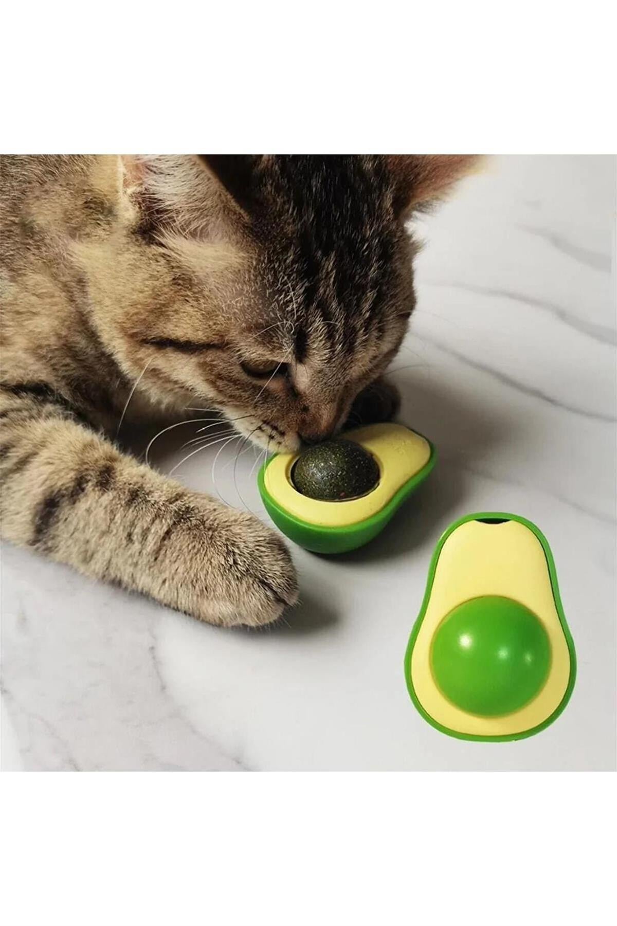 Avokado Kedi Çimi Topu Avokado Kedi Nanesi Oyuncağı