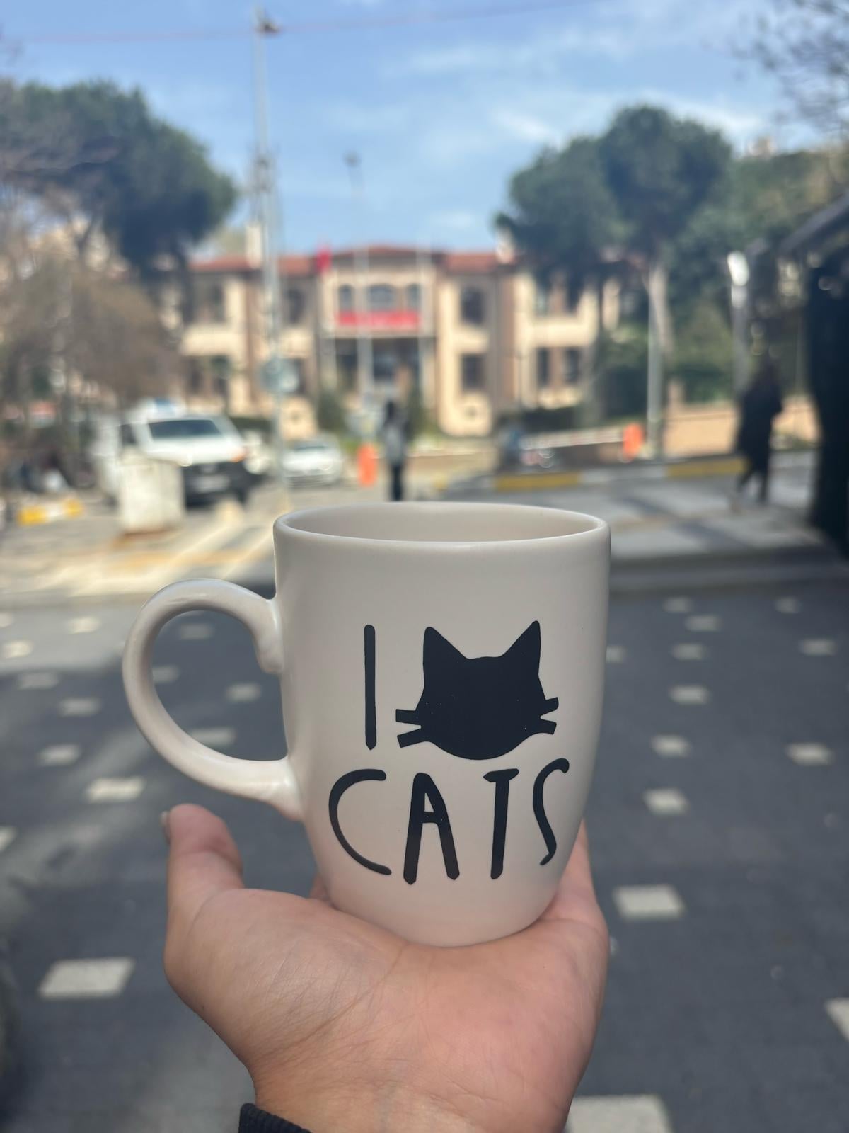 I Love Cats Kupa