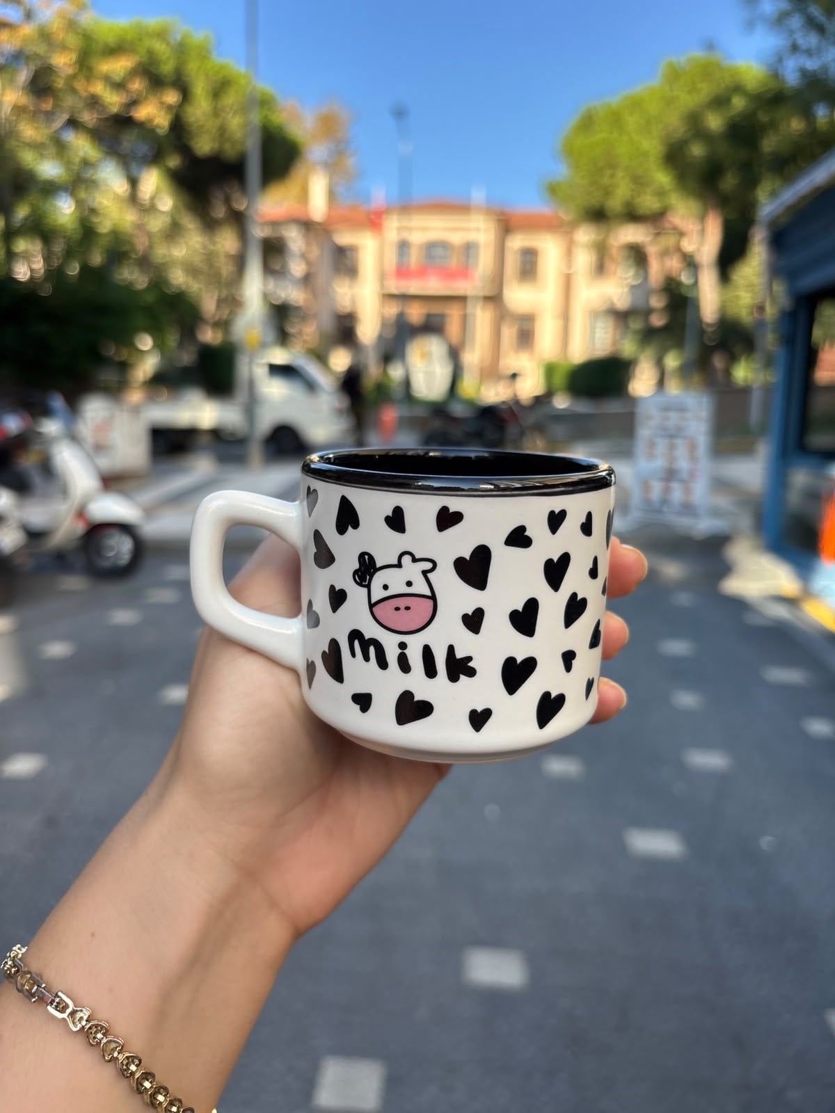Milk Venüs Kupa