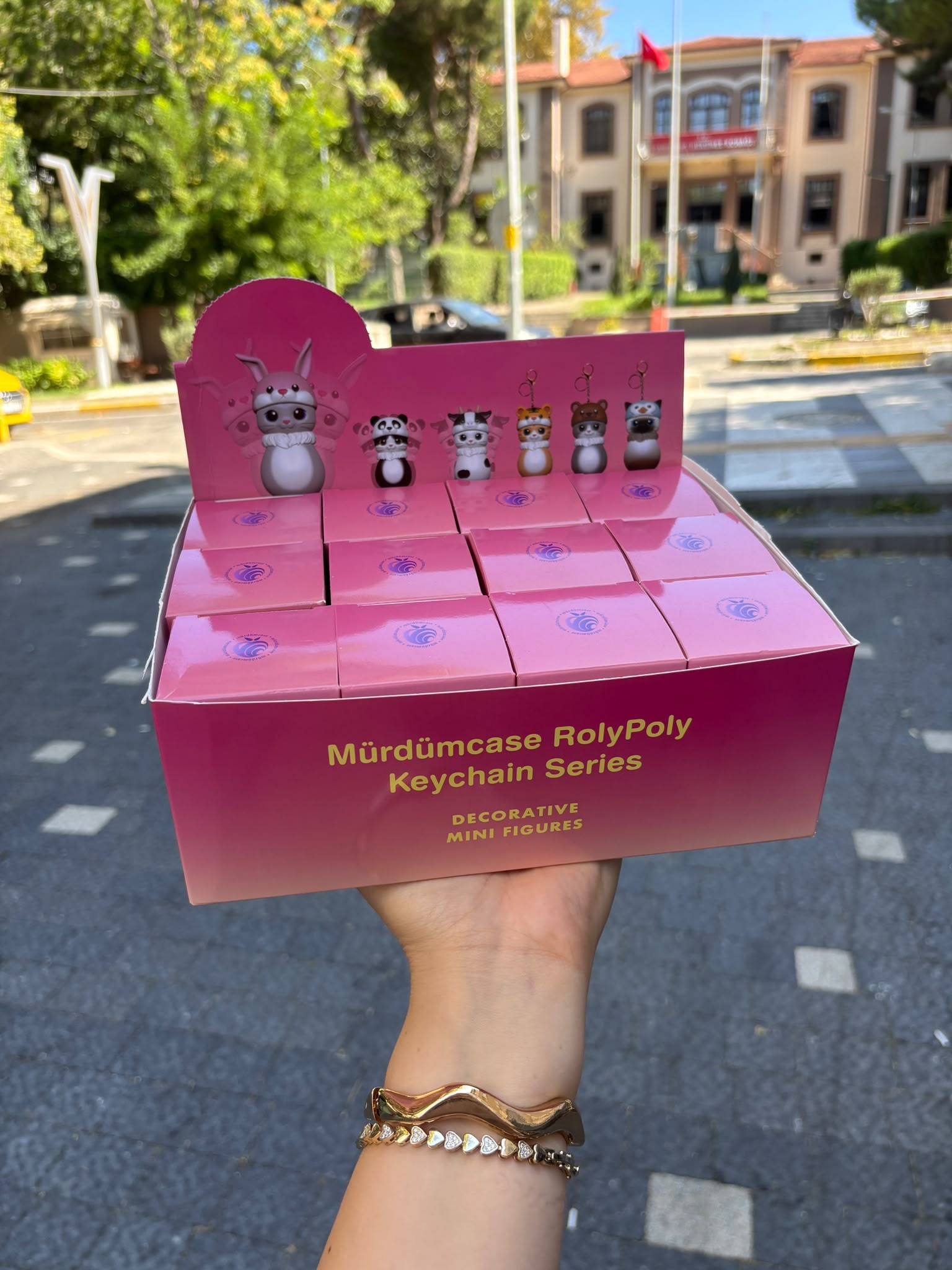 Mürdümcase RolyPoly Keychain Series