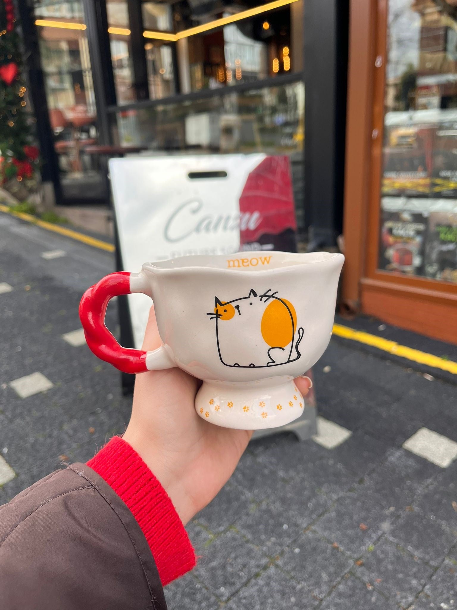 Turuncu Şişko Kedi